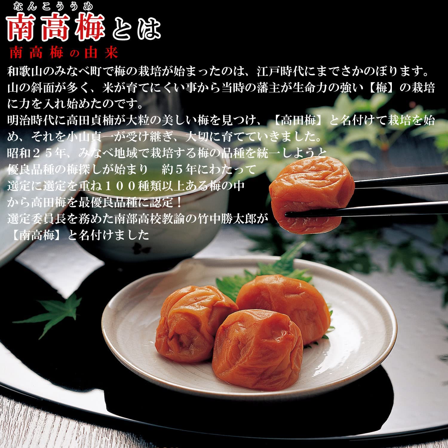 新物 無添加 紀州南高梅白干し みなべ産 3L切れ 約10
